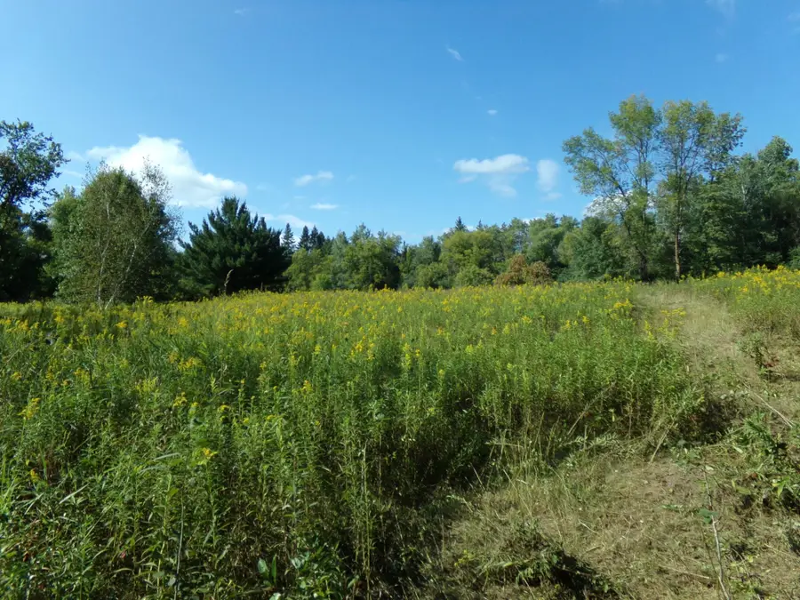67xx Old Sawmill Road, Harris, MN 55032 - #3