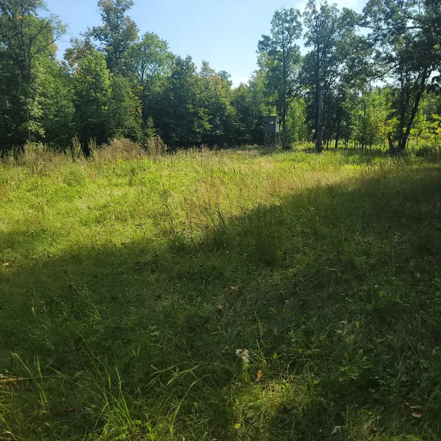 TBD Jeff Lake Road, Richville, MN 56576 - Image #3