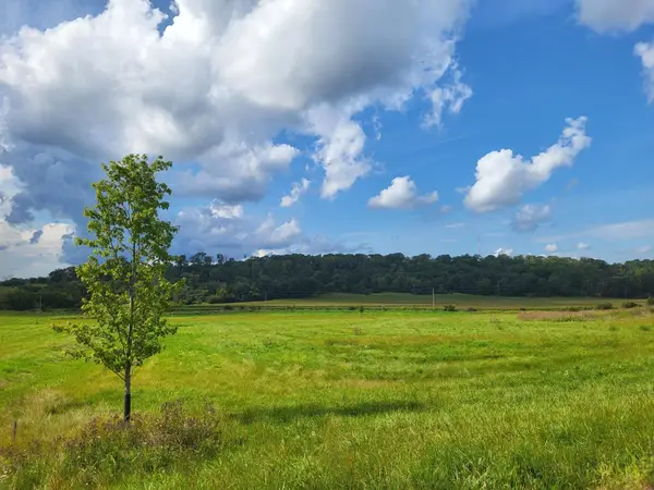 5185 8th Street Sw, Rochester, MN 55902