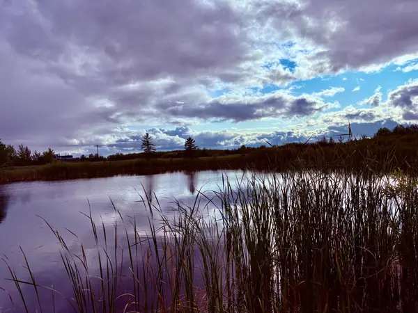 TBD 7th St Sw, Baudette, MN 56623