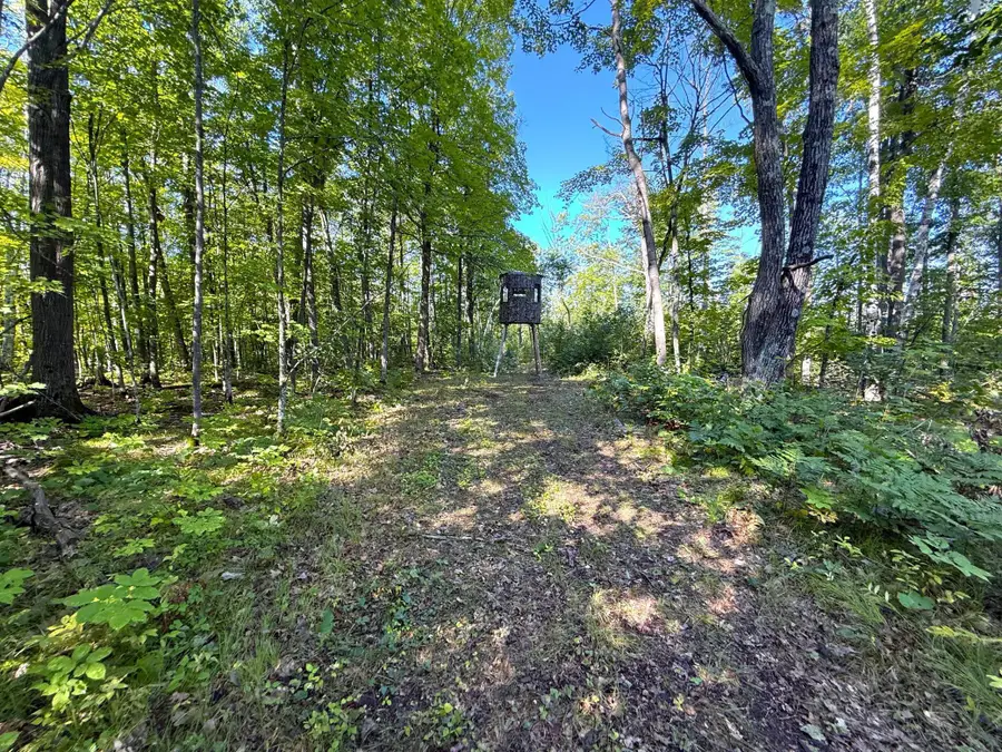XXX 60th Ave, Isle Harbor, MN 56386 - Image #3