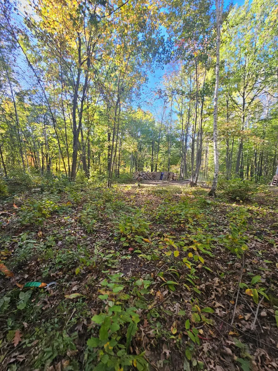 40353 Root Road, Askov, MN 55704 - Image #3