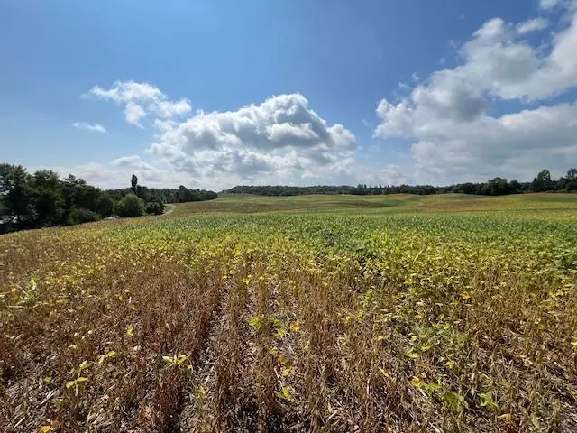 TBD Placid Dr, Edna, MN 56573 - Image #3