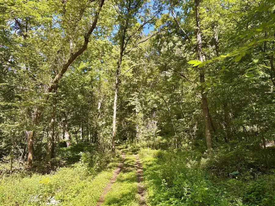 TBD East Burns Valley Road, Winona, MN 55987 - Image #3