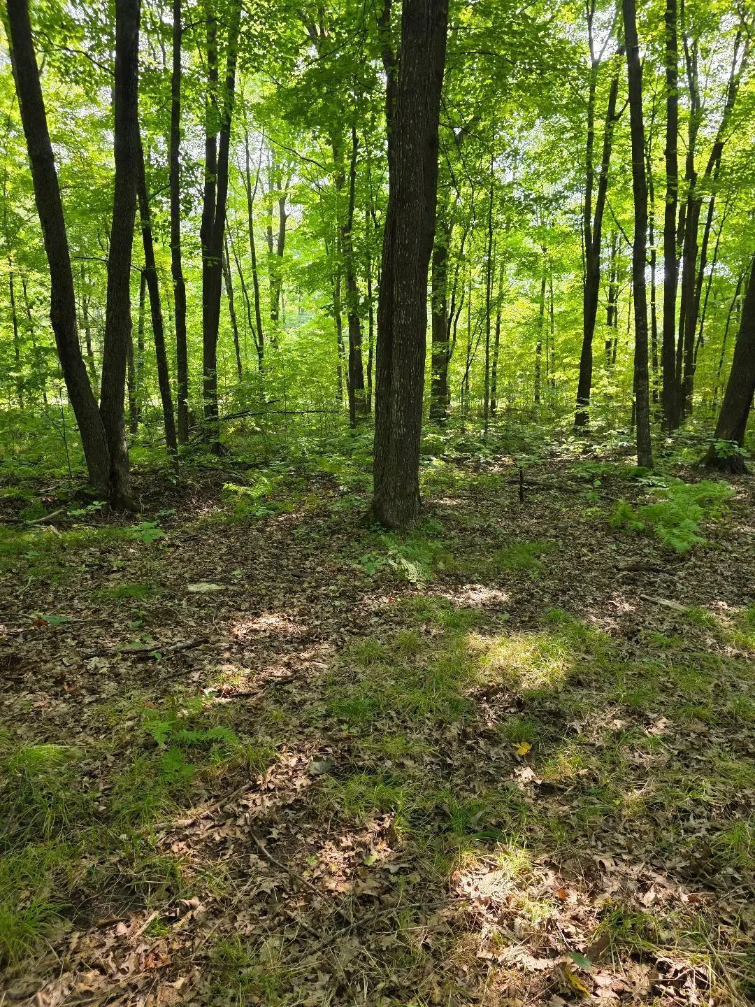 00 30th Street, Cumberland, WI 54829 - #1