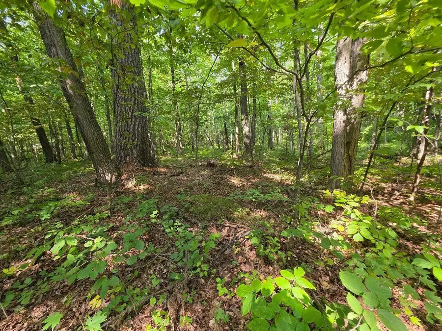 00 30th Street, Cumberland, WI 54829 - #2