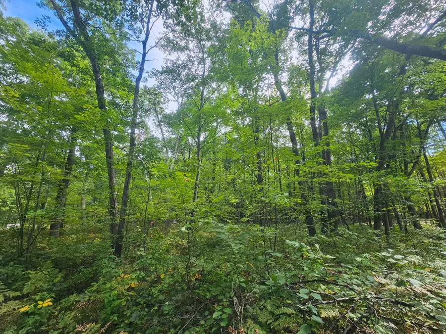 Lot 5 Ken Can Lane, Webster, WI 54893 - Image #3