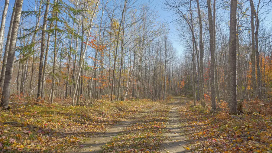 TBD Wildernessa Road, Deer River, MN 56636 - #2