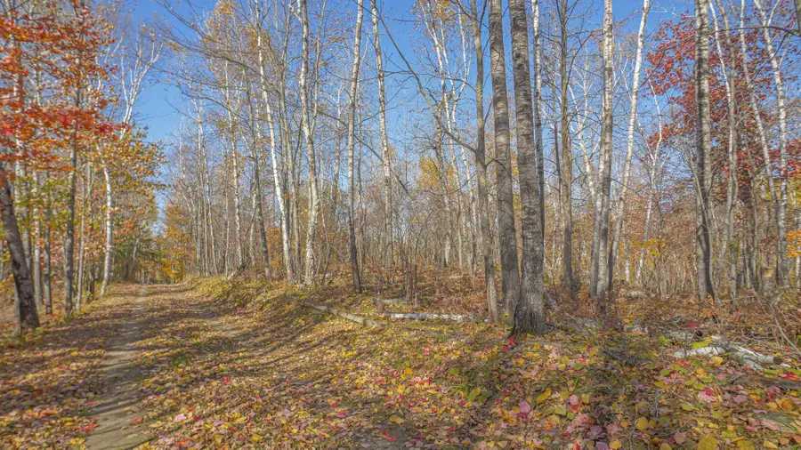 TBD Wildernessa Road, Deer River, MN 56636 - #3