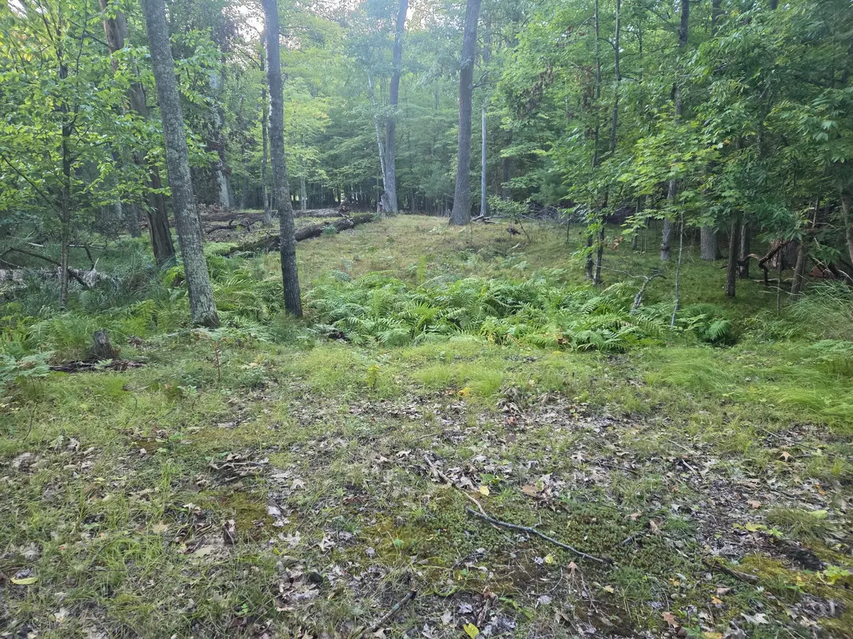 TBD 484th Street, McGregor, MN 55760 - Image #1