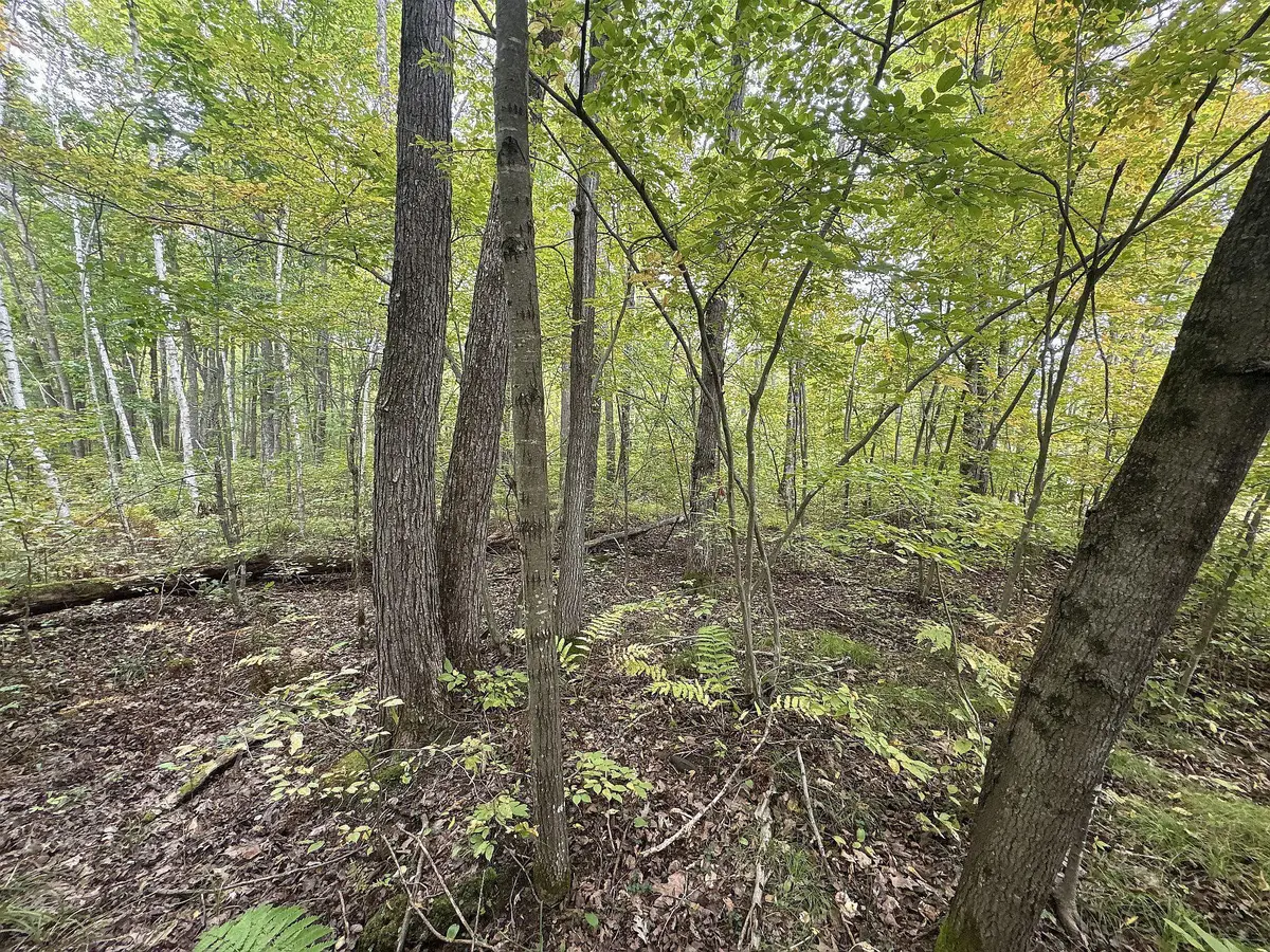 TBD 282nd Avenue, Holcombe, WI 54745 - #1