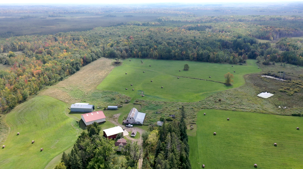 14331 395th Lane, Tamarack, MN 55787