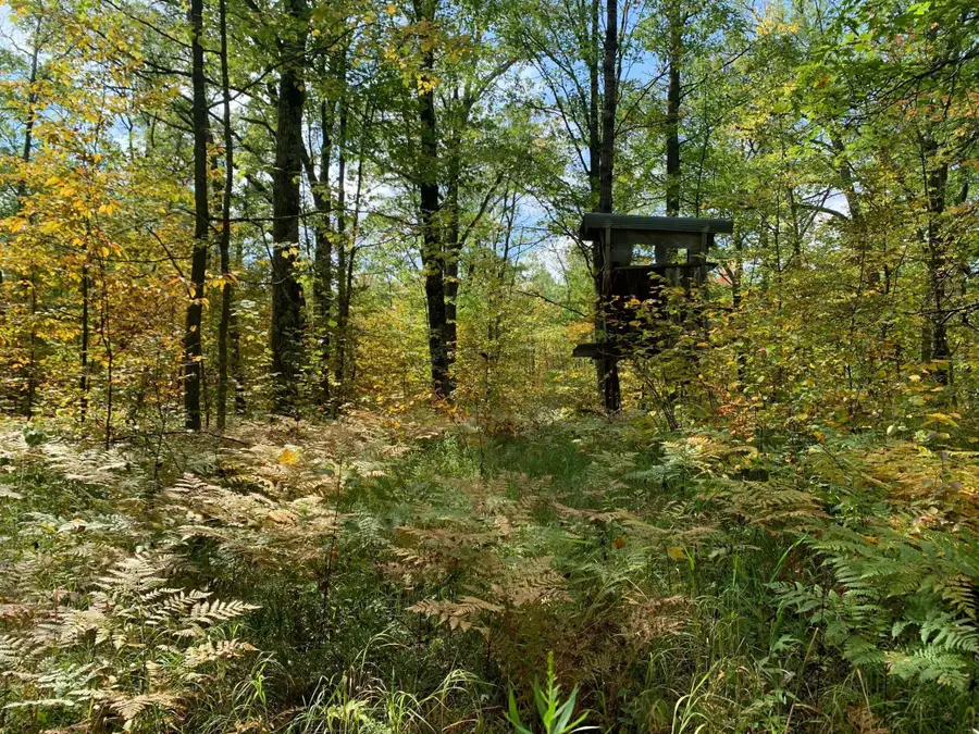 14331 395th Lane, Tamarack, MN 55787 - Image #2