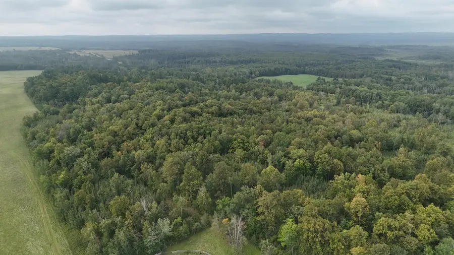 TBD 220th Street, Bagley, MN 56621 - #2