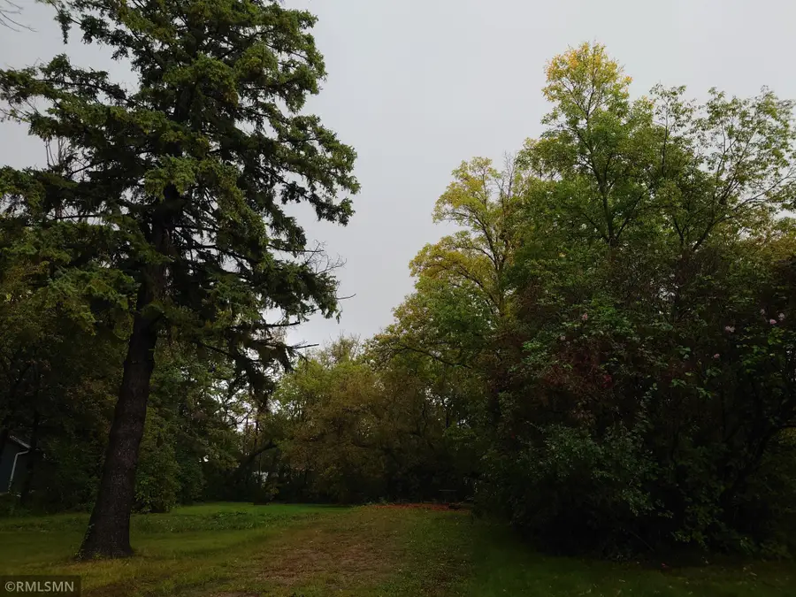 417 Park Street, Alexandria, MN 56308 - #3