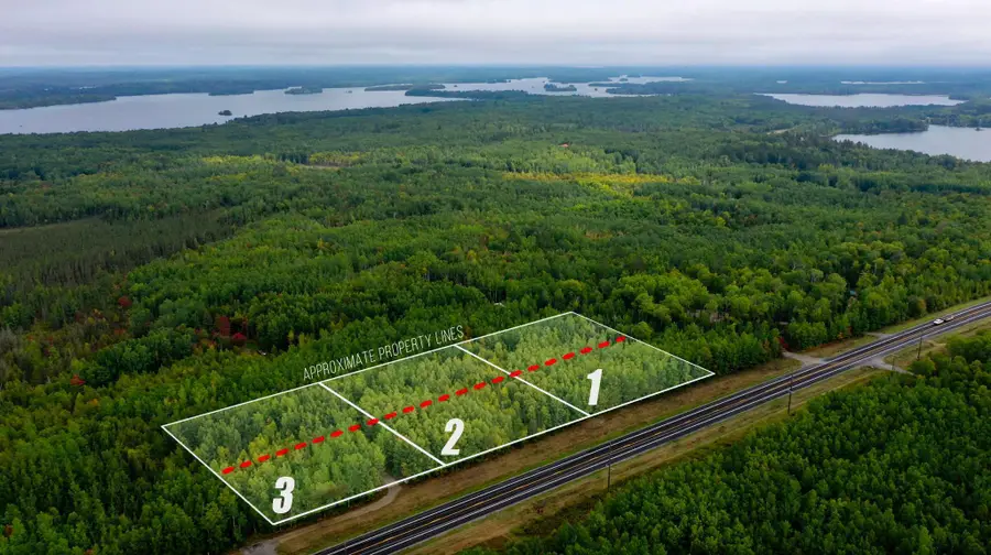 Parcel 2 TBD Hwy 115, Tower, MN 55790 - #2
