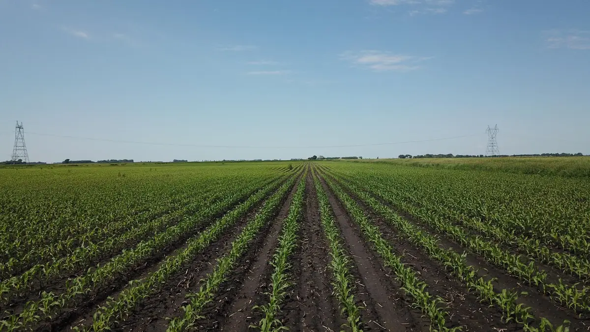 TBD T-182, Herman, MN 56248 - Image #1