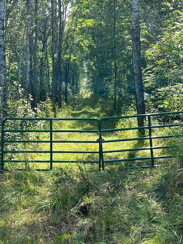 TBD W County Road 3, International Falls, MN 56669