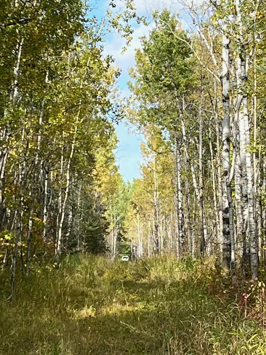 TBD W County Road 3, Kabetogama, MN 56669 - Image #3