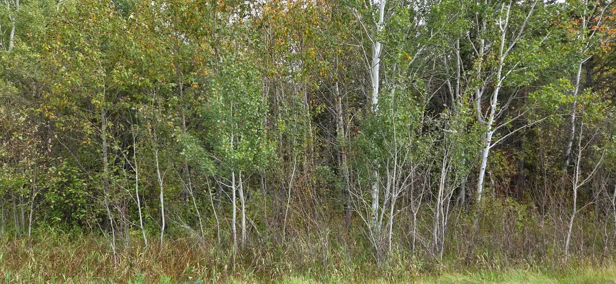 TBD 2nd Avenue E, International Falls, MN 56649 - #1