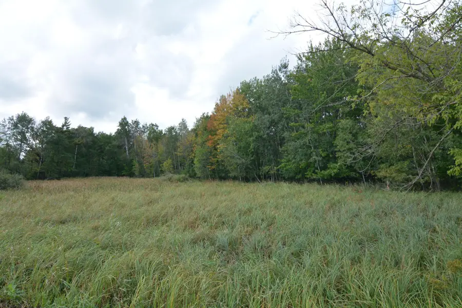 TBD 130th Avenue, Milaca, MN 56353 - Image #3