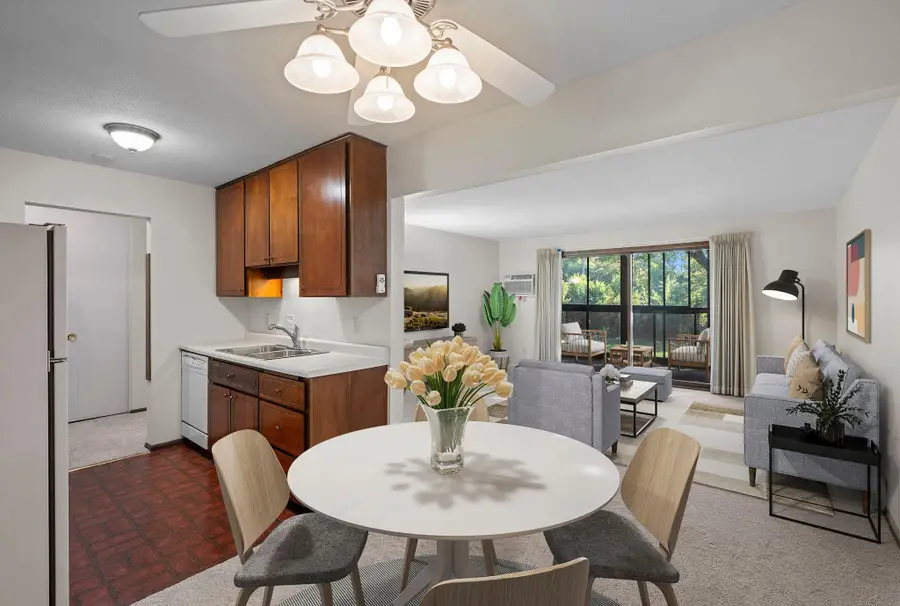 4380 Brookside Court #209, Minneapolis, MN 55436 - Image #2