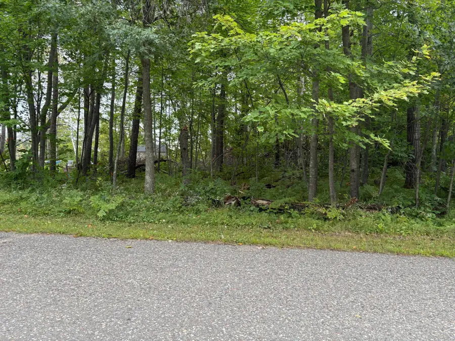TBD Lots 111 & 112 Terminal Road, Pequot Lakes, MN 56472 - Image #2