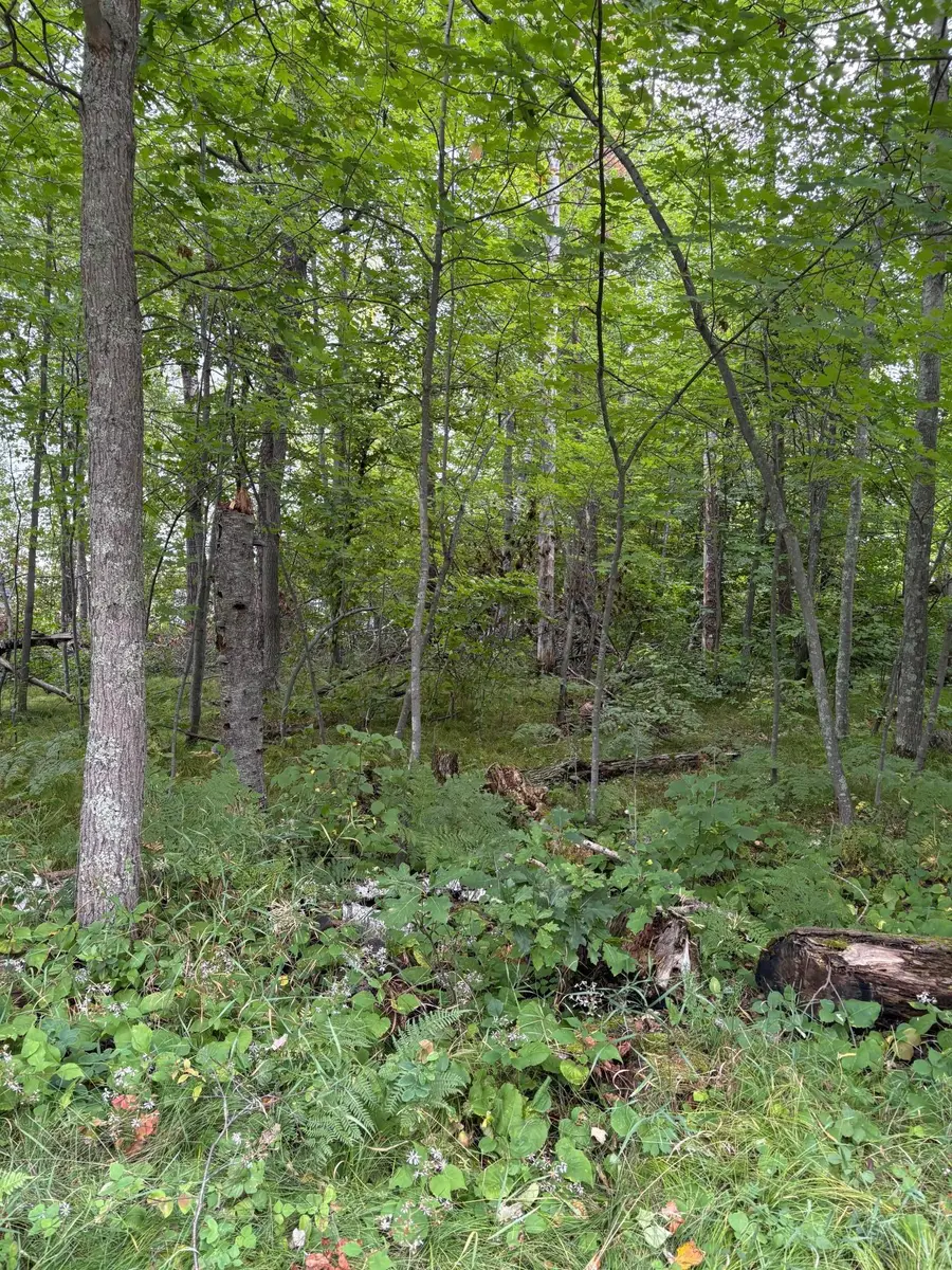 TBD Lots 111 & 112 Terminal Road, Pequot Lakes, MN 56472 - Image #3