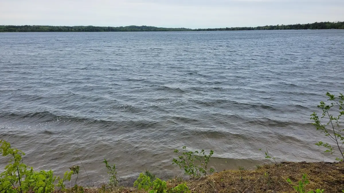 1101 W Big Portage Lake Drive Nw, Backus, MN 56435 - #1