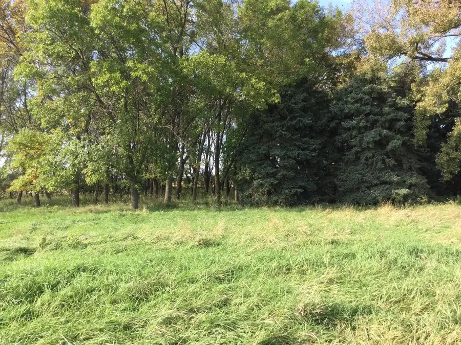 2029 210th Avenue, Canby, MN 56220 - #3