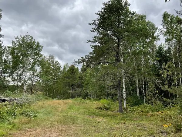 163 Pancore Lake Road, Tofte, MN 55615