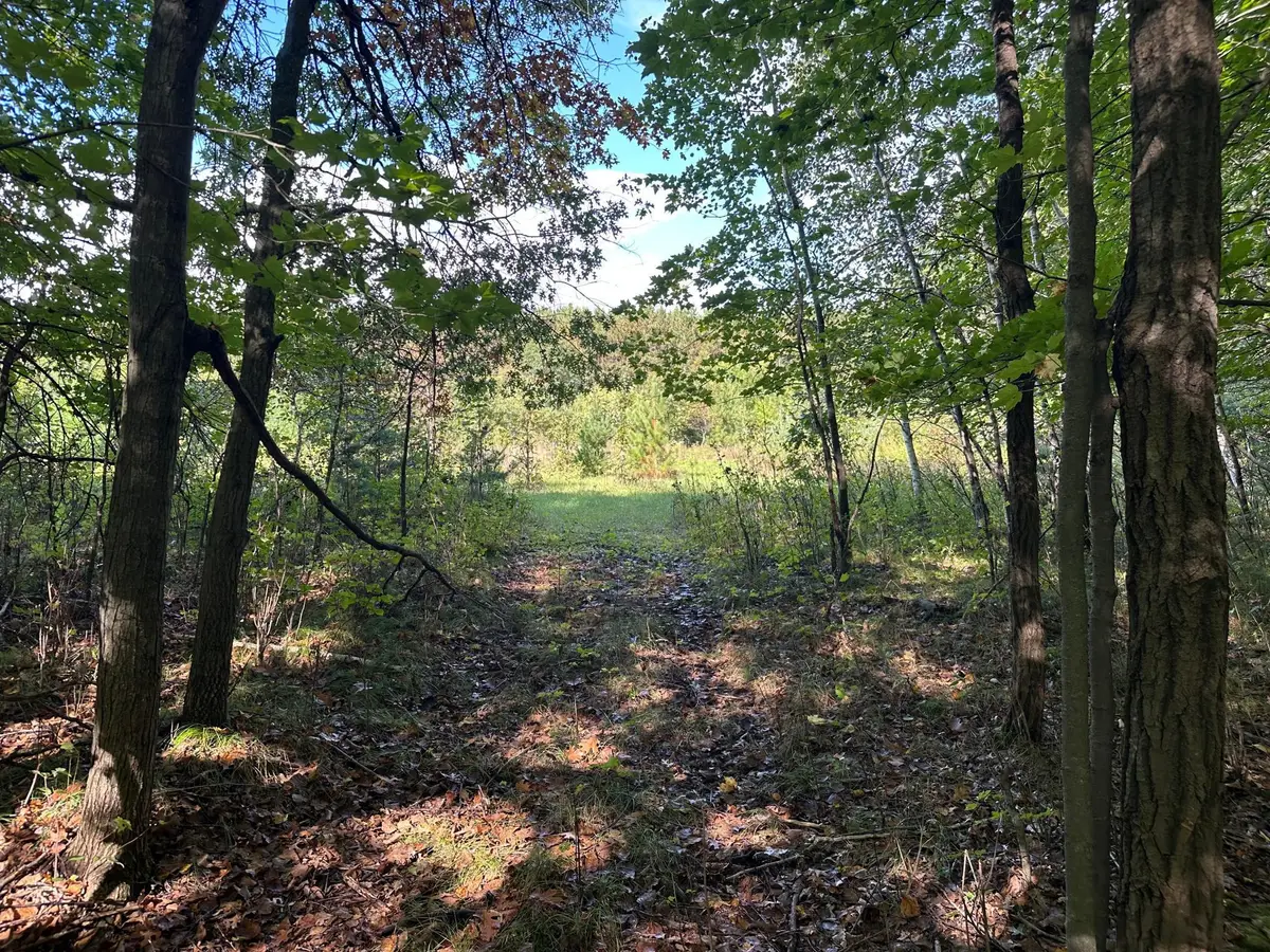 XXX 424th Street, Harris, MN 55032 - #1