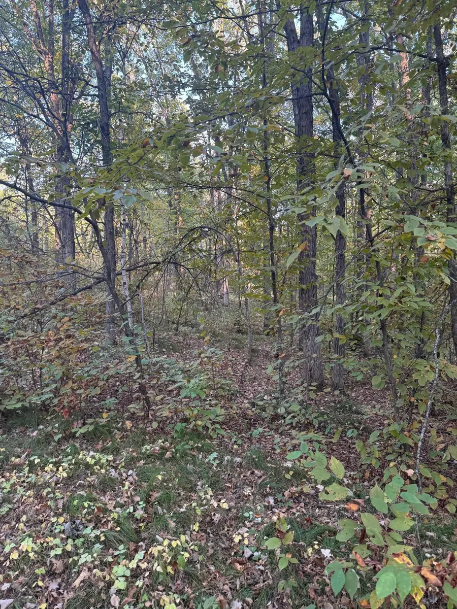 TBD Dell Marie Place, Breezy Point, MN 56472 - #2
