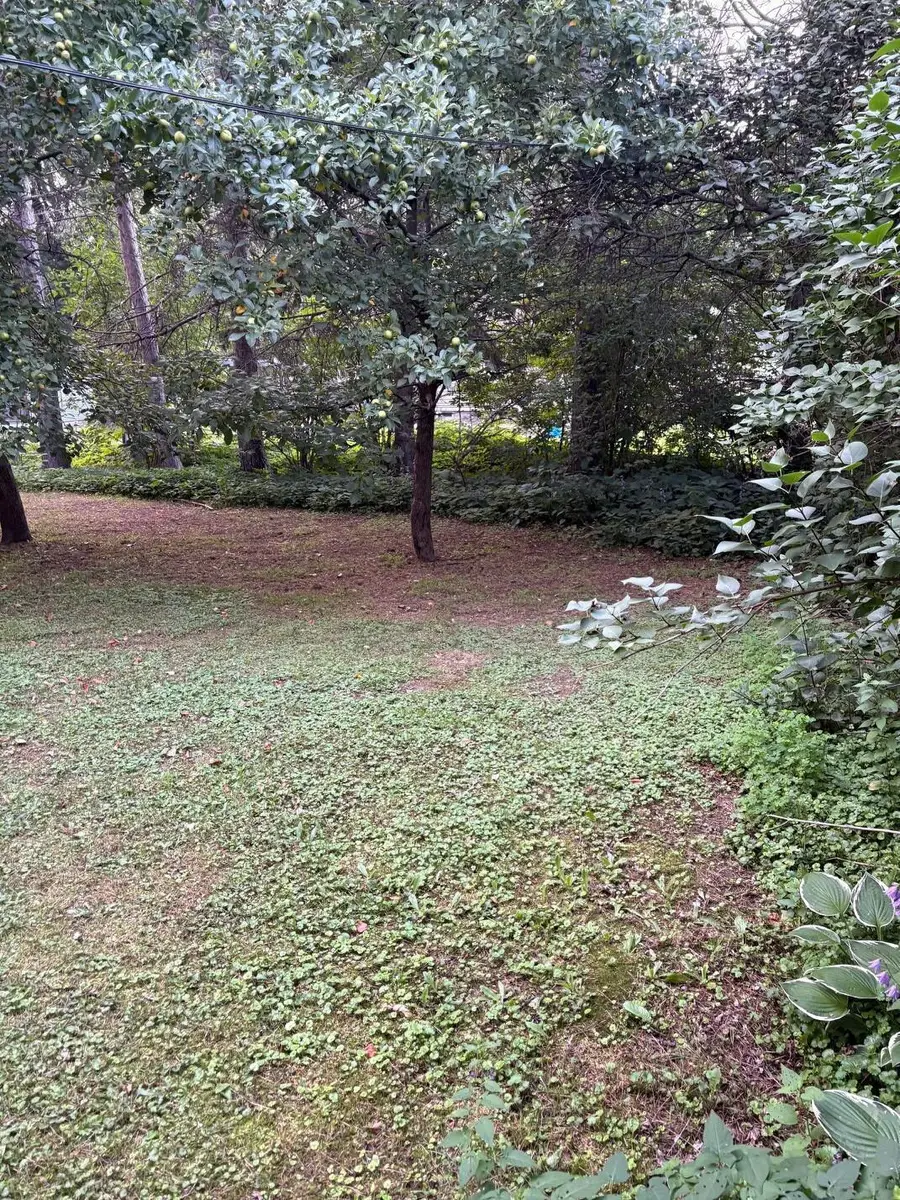 1013 Washington Avenue, Cloquet, MN 55720 - Image #3