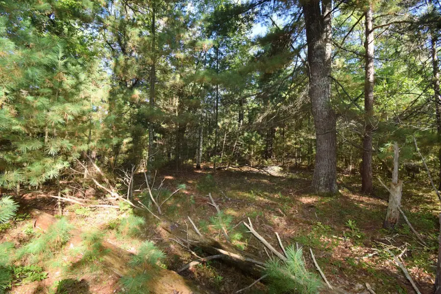 TBD Redwing Trailway, Danbury, WI 54830 - Image #2