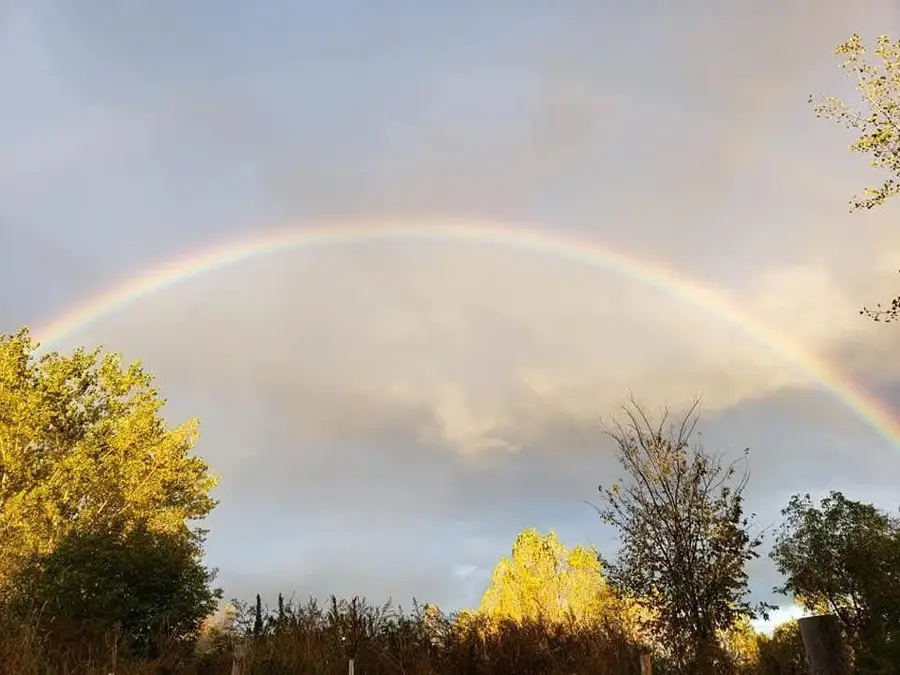 xxx 3rd Ave., Deer Park, WI 54007 - Image #3