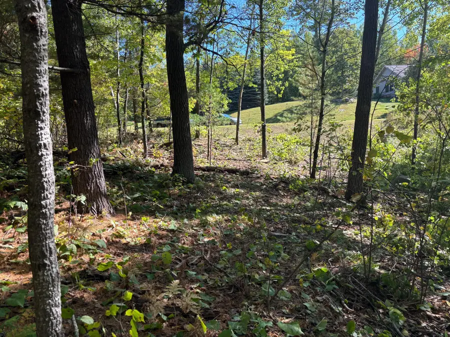 704 5th Street, Walker, MN 56484 - Image #2