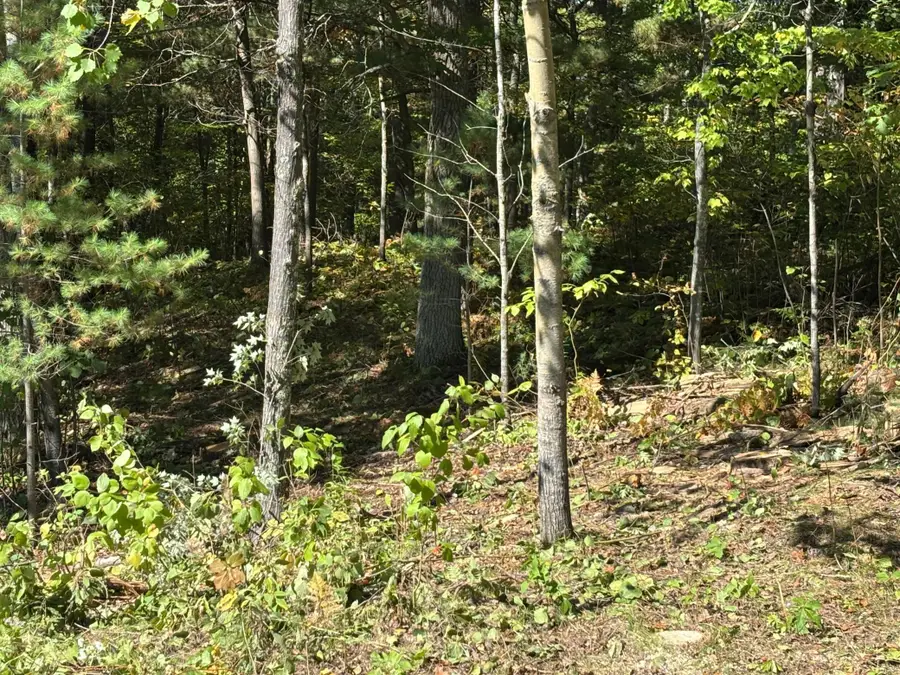 704 5th Street, Walker, MN 56484 - Image #3