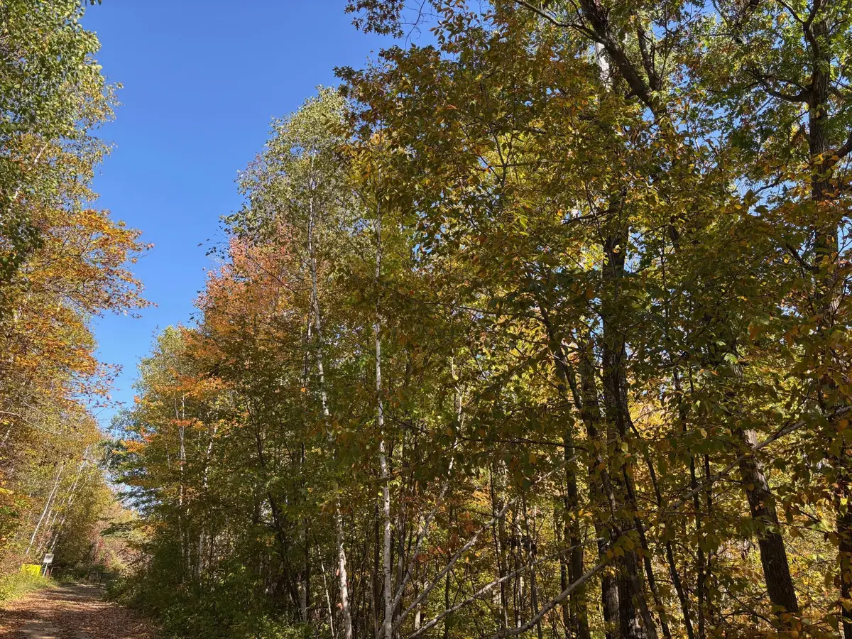 TBD County Road 12, Akeley, MN 56433 - #1