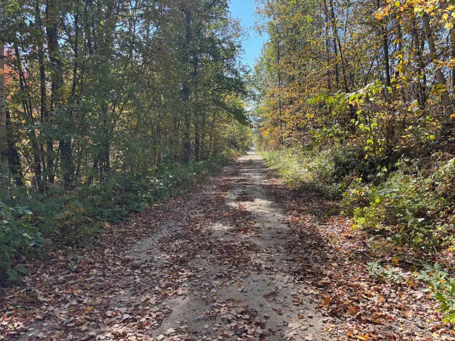 TBD County Road 12, Akeley, MN 56433 - #2