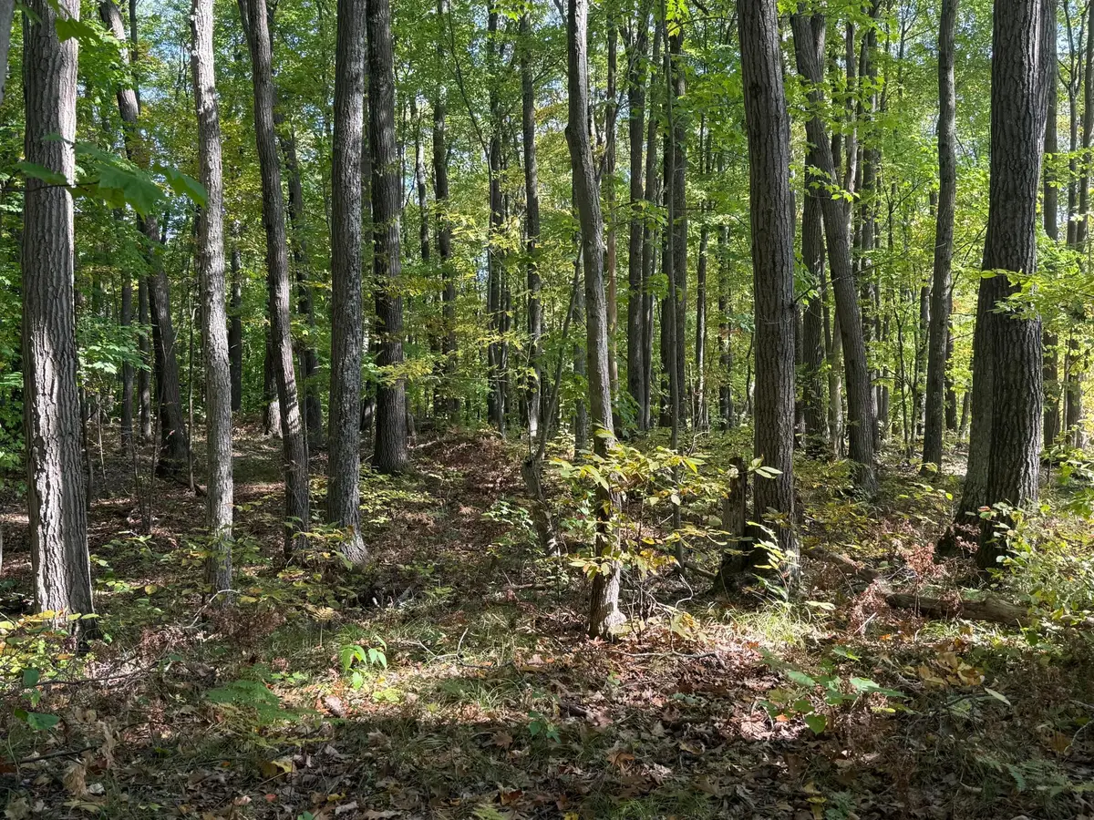 TBD2 Deep Lake Road, Sarona, WI 54870 - Image #1