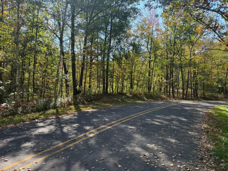 TBD2 Deep Lake Road, Sarona, WI 54870 - Image #3