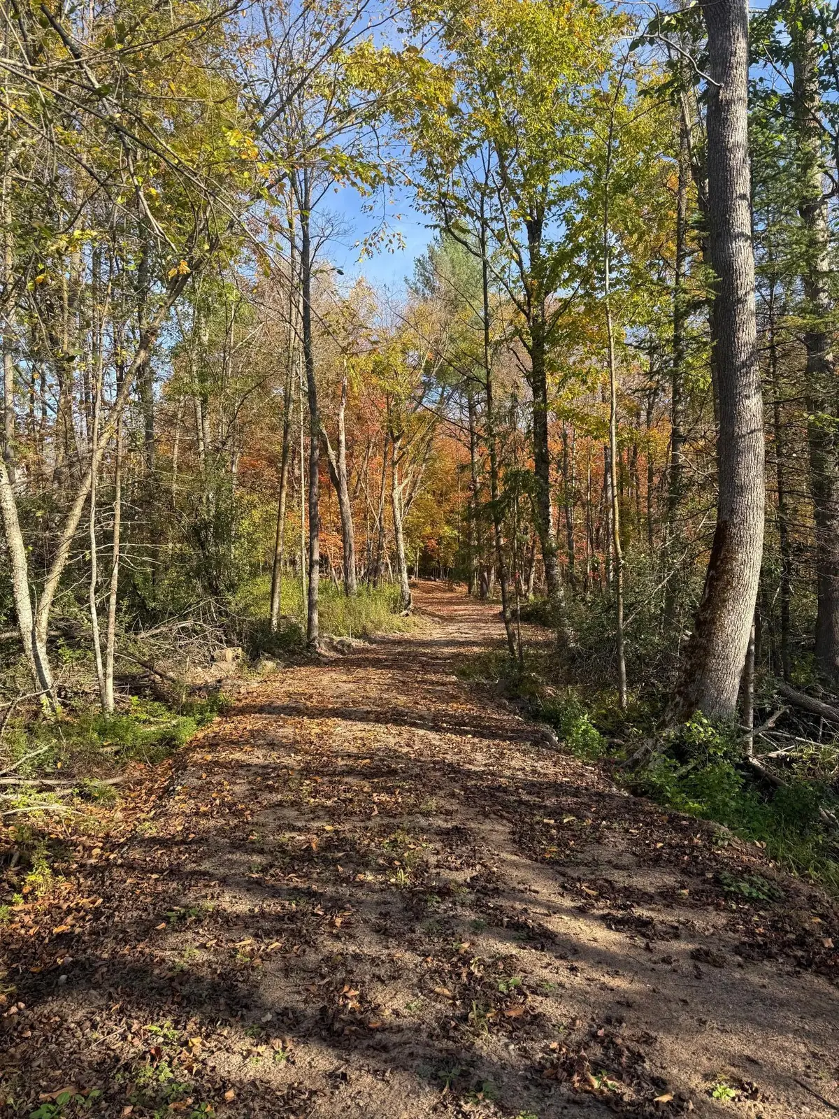 999 Porcupine Trail, Aitkin, MN 56431 - #1