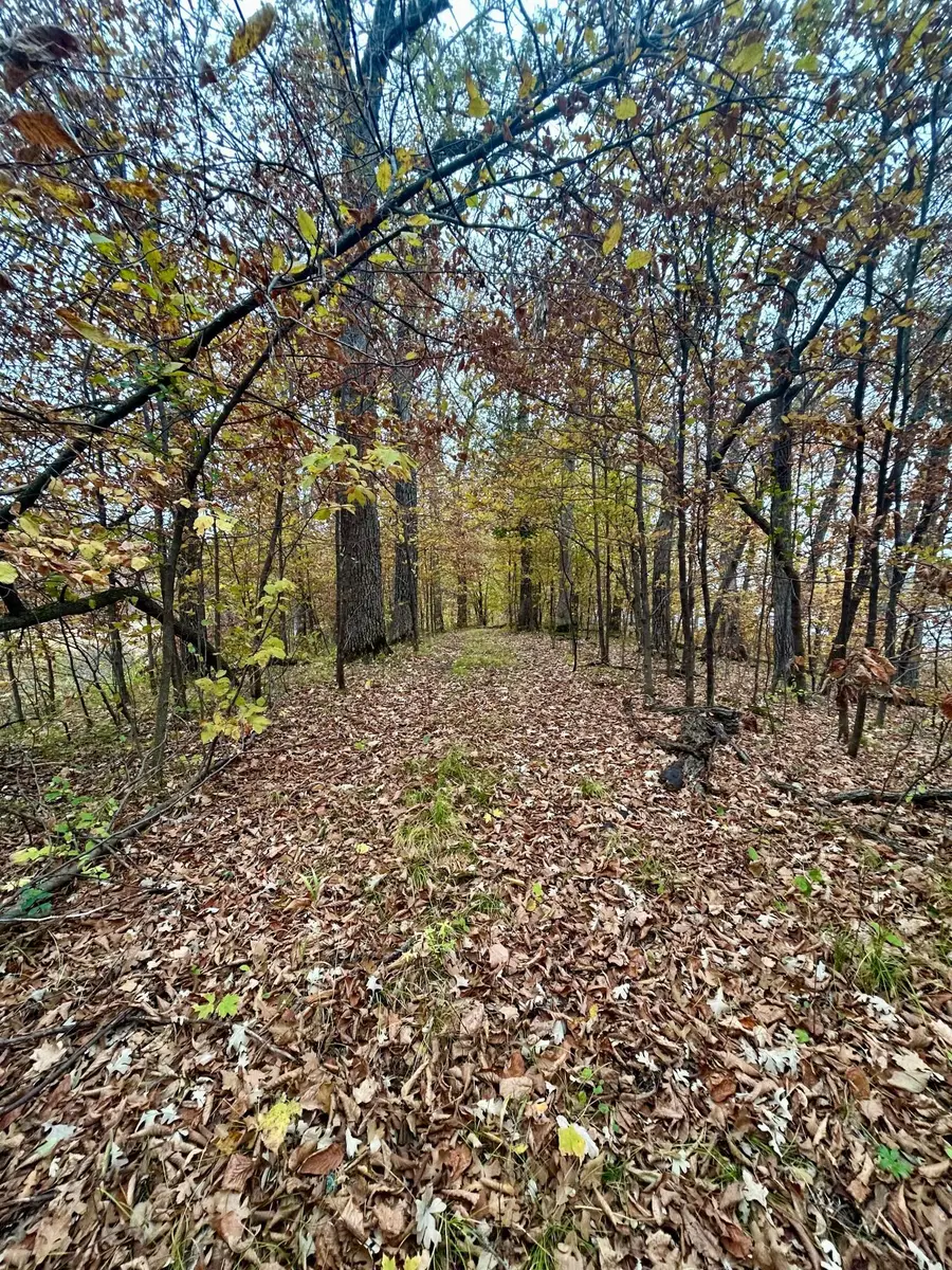 TBD E Lake Lizzie Road, Pelican Rapids, MN 56572 - Image #3