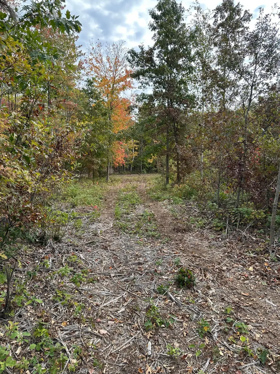 TBD 810th Street, Sand Creek, WI 54757 - #2