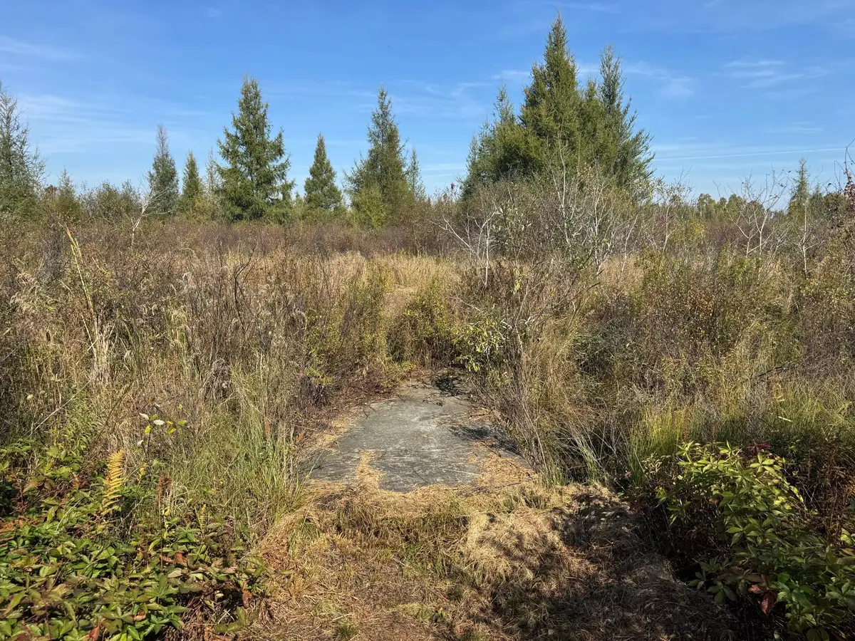 TBD 460th Lane, Palisade, MN 56469 - Image #1