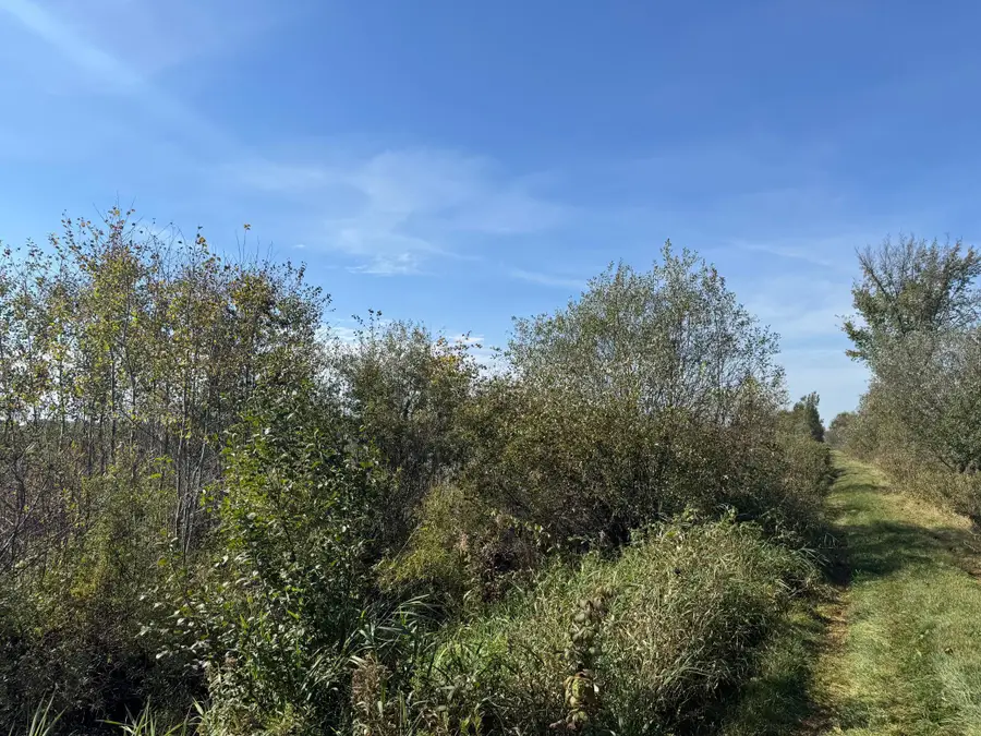 TBD 460th Lane, Palisade, MN 56469 - Image #3