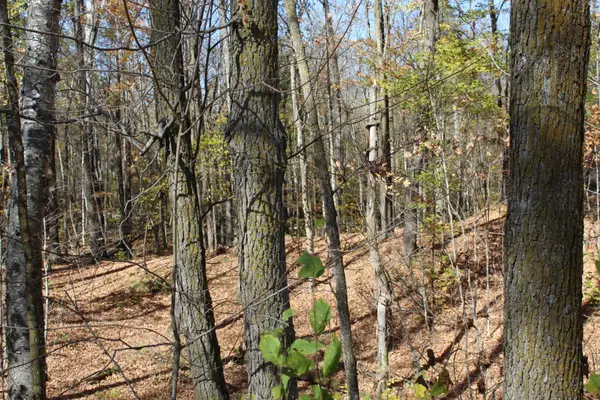 TBD Woods Road, Isle, MN 56342