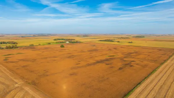 TBD County Road 60, Marion, ND 58466