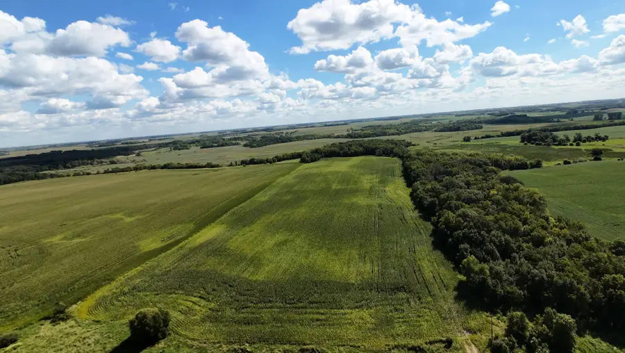 TBD 260th Street W, Morristown, MN 55052 - #2